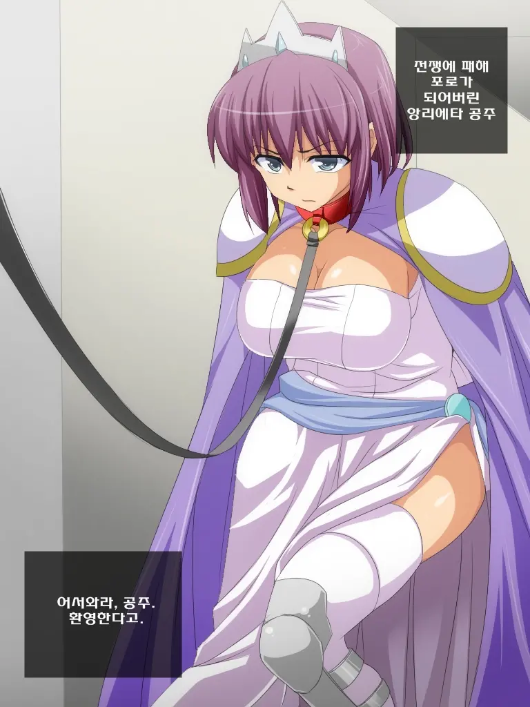 Royal Bitch O Niku Dorei Ni Suru CG Shuu